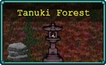 Tanuki Forest