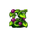 Sprite-MOLISANO FAGIOLO-2