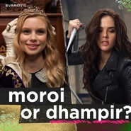 Moroi or Dhampir