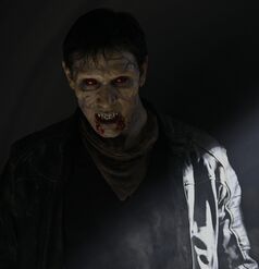 THE STRIGOI are immortal undead vampires, driven purely by an unquenchable thirst for blood, and they are the enemy of the Moroi. The Strigoi encapsulate everything you think you know and fear about the vampires of folklore.