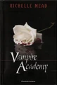 Vampire Academy (Spanish) 001.jpg (33 KB) Spanish cover