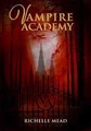 Vampire Academy (Indonesian) 001.jpg (4 KB) Indonesian cover