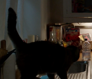 Oscar