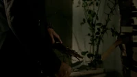 TO407-050-Enchanted Thorns-Stake.png (1.56 MB)