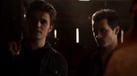 Stefan-Enzo 5x20