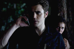 Stefan 5x7