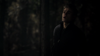 TVD114-068-Stefan