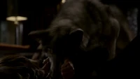 TVD211-145~Rose-Jules-Werewolf Bite.png (696 KB)