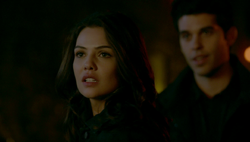 TO411-128-Davina~Josh.png