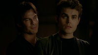 810-102-Stefan-Damon