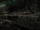 Dark Dimension