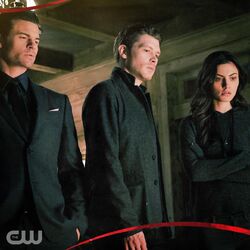 The Originals (série de televisão) - Wikiwand