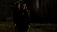 TVD120-152-Stefan-Elena