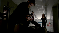 TVD321-116-Alaric-Indestructible White Oak Stake-Elena