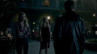 TO508-028-Freya-Rebekah~Klaus