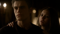 TVD110-132-Stefan-Elena