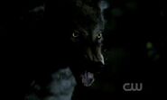 Vampirediaries3x02werewolf