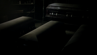 TVD310-141~Damon~Stefan~The Spirits-Coffins