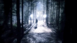 The Other Side Collapses