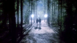 Vlcsnap-2014-05-18-10h07m29s207