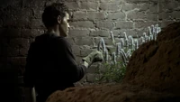 TVD204-038-Stefan-Vervain.png (2.41 MB)