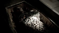 TVD305-173-Mikael.png (1.81 MB)
