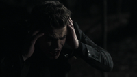 TVD119-128-Stefan