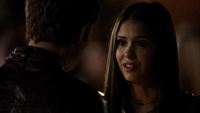 TVD102-100~Stefan-Elena