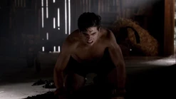 Adrian attempting to break Sire bond.