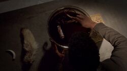 Totems in Representational Magic.