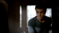 TVD309-038-Stefan