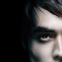 Damon Salvatore Novel The Vampire Diaries Wiki Fandom And with him anything anybody knows about the cure.