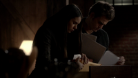 TVD317-130-Elena-Stefan