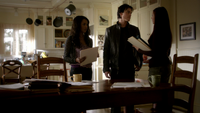 TVD312-022-Bonnie-Damon-Elena