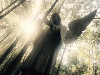 2015-09-17 James Stoteraux Twitter.jpg (51 KB) ©James Stoteraux September 17, 2015