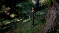 TVD310-034-Bonnie