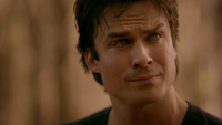 816-158-Damon