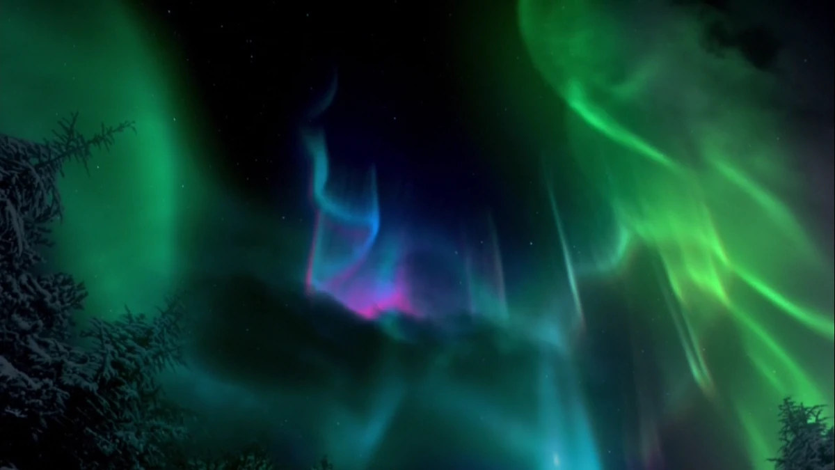 Channeling The Vampire Diaries Wiki Fandom