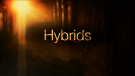 Hybrids03.png
