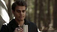 6X13-77-Stefan