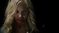 TVD205-116-Caroline