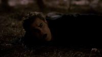 TVD221-154-Stefan