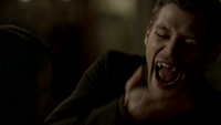 TVD318-081-Klaus