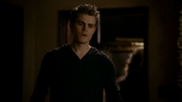 TVD219-148-Stefan