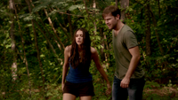 TVD302-105-Elena-Alaric