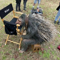 2022-05-5-Zane Philips-Price Peterson-pricepeterson-Twitter-BTS-02.jpg (1.27 MB)