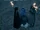 Malivore/Gallery