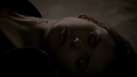 TVD221-144-Elena