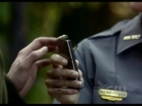 WoodenBullets.png (314 KB)