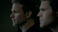 804-030~Stefan-Alaric-Sybil